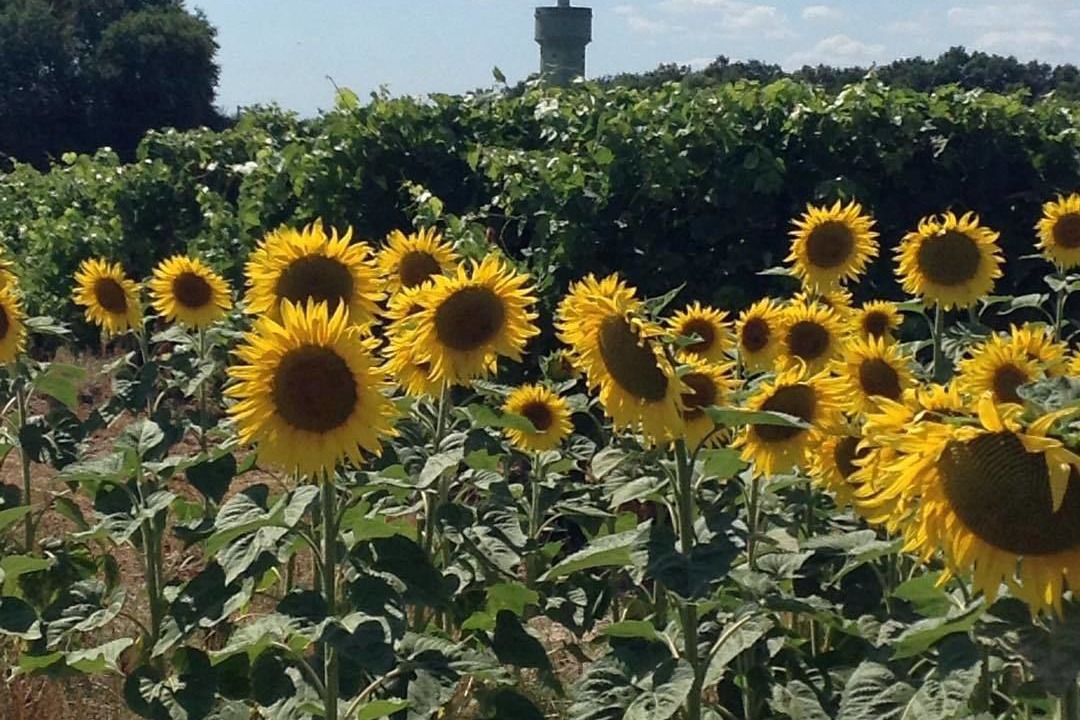 Photo of Outdoor in Cherac