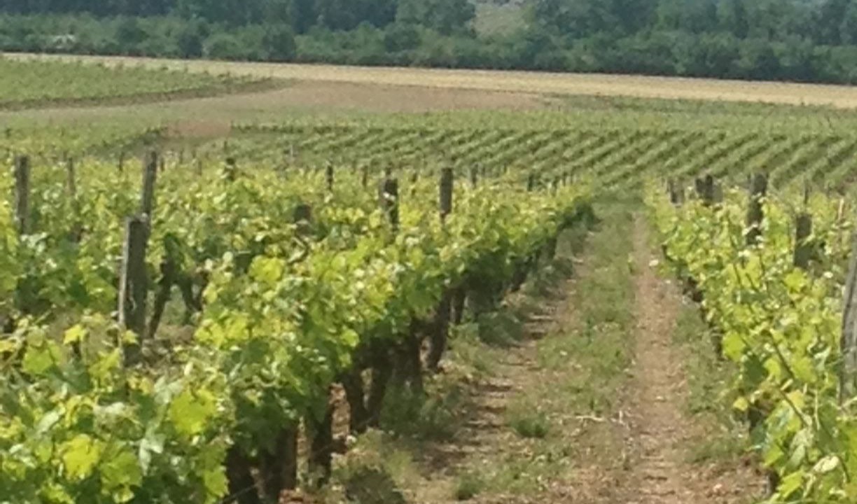 Photo of Others in Cherac