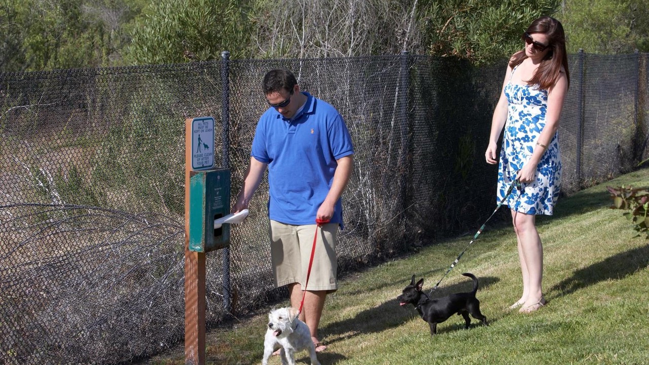 Photo of Others in Tolleson