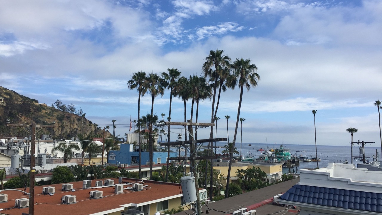 Photo of Others in Avalon