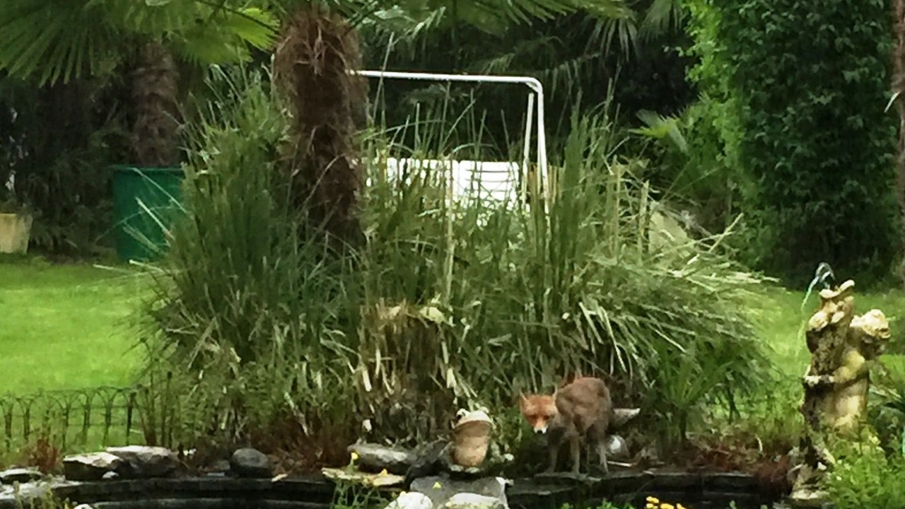 Photo of Outdoor in Ascona