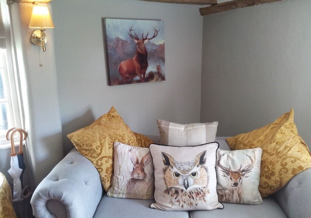 Photo of Others in Colchester