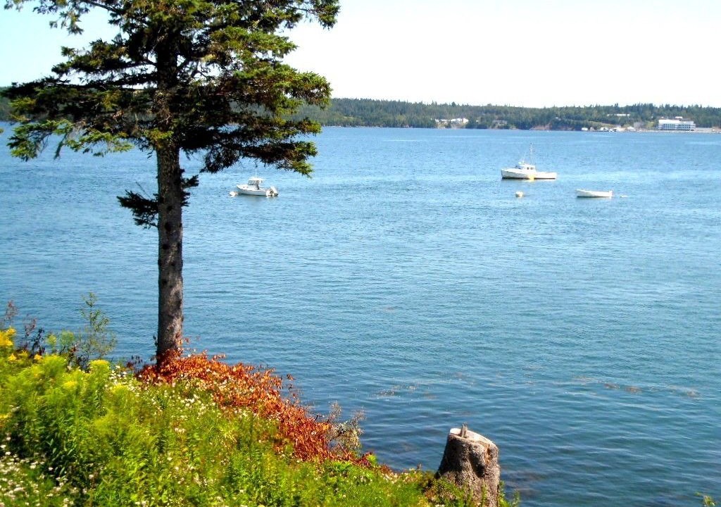 Photo of Patio Balcony in Robbinston