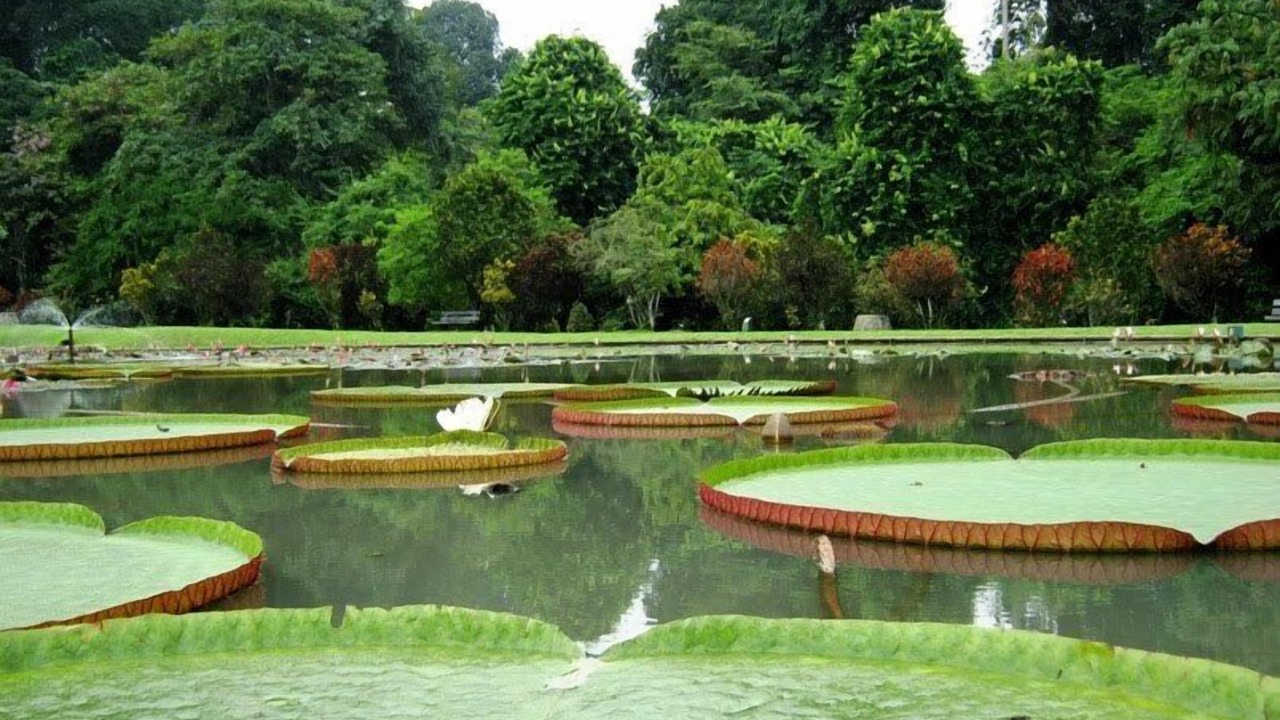 Photo of Others in Sentul City