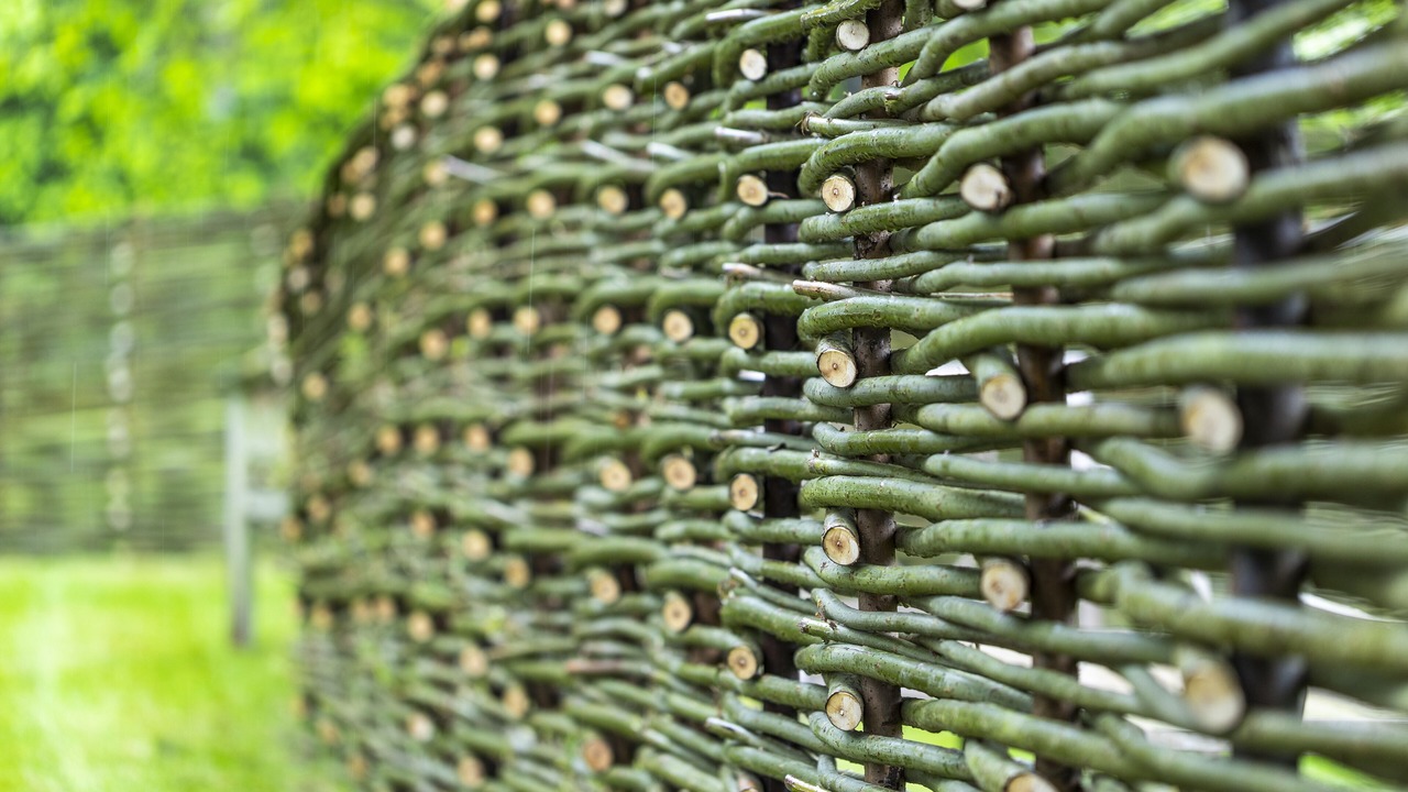 Photo of Outdoor in Houghton