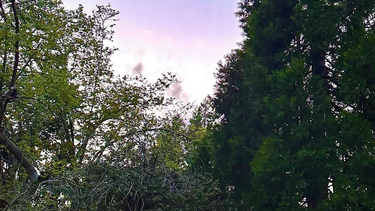 Photo of Outdoor in Grass Valley