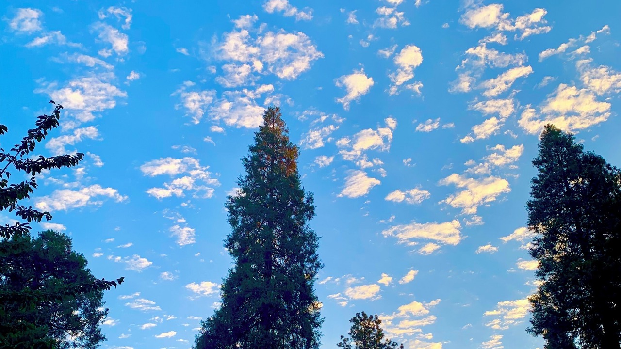 Photo of Outdoor in Grass Valley