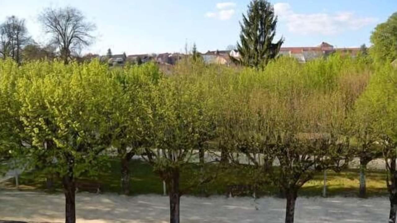 Photo of Bedroom in Bourbonne-les-Bains