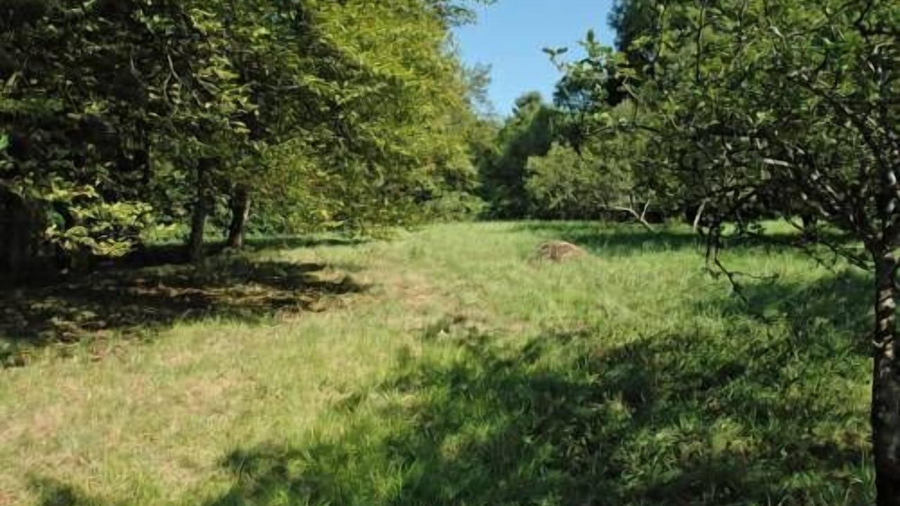 Photo of Outdoor in Bourbonne-les-Bains