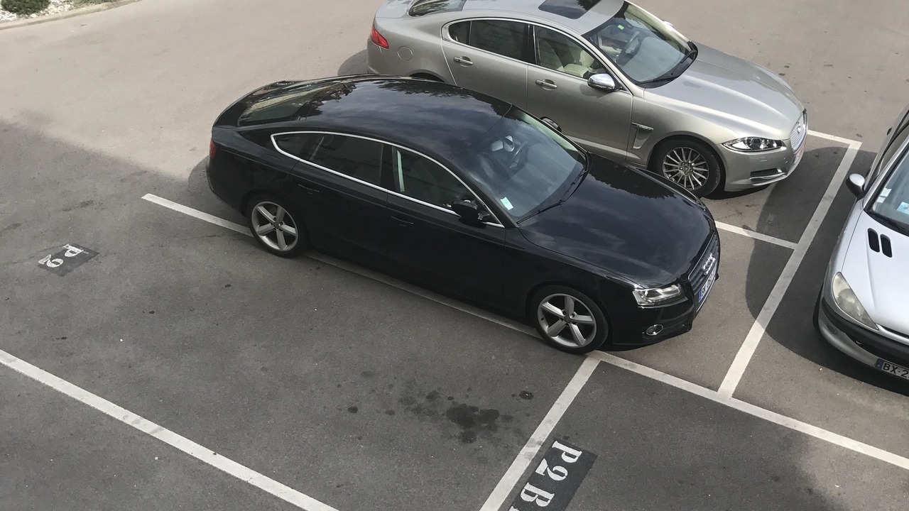 Photo of Others in Chantilly