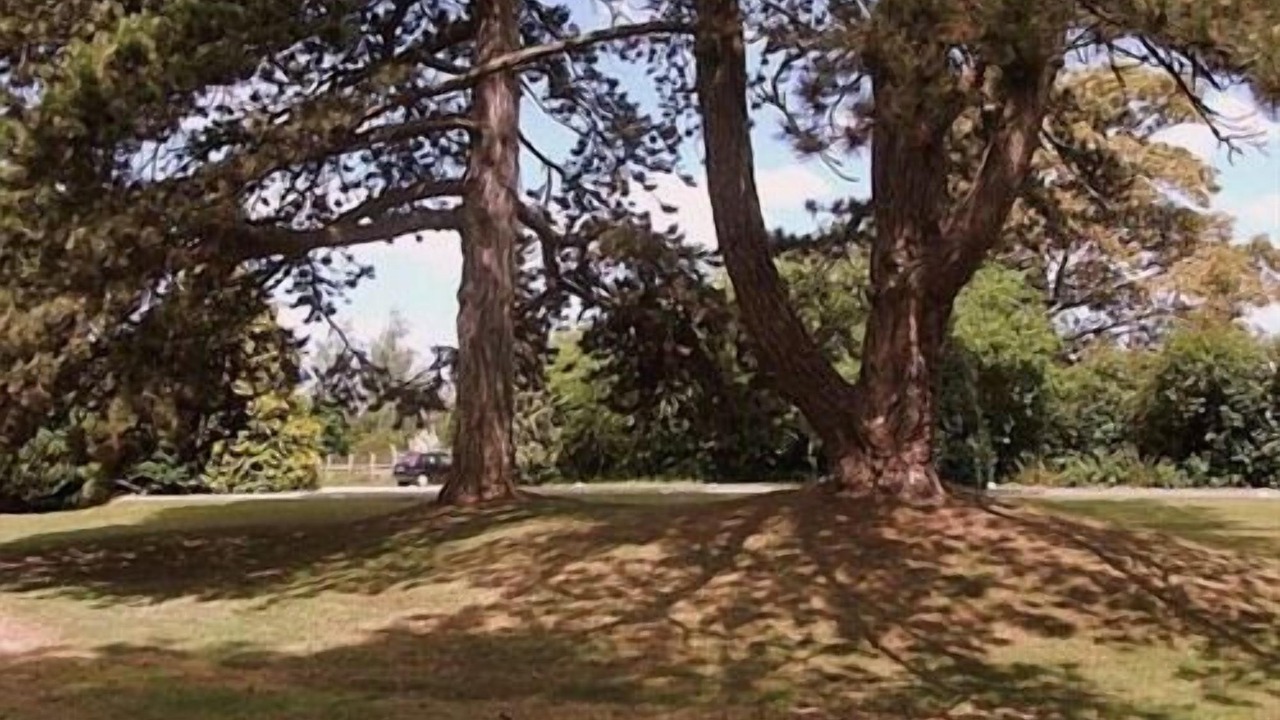 Photo of Others in Hilperton