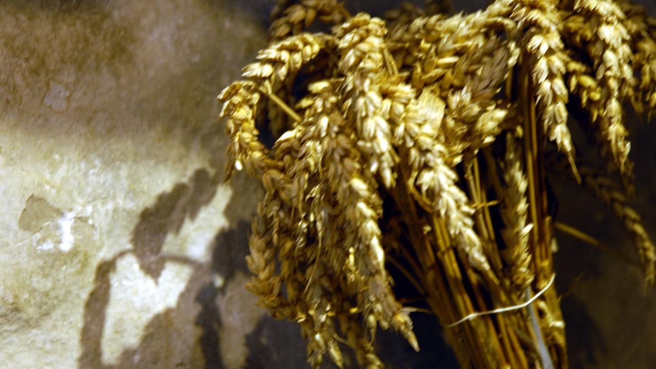 Photo of Others in Malbuisson