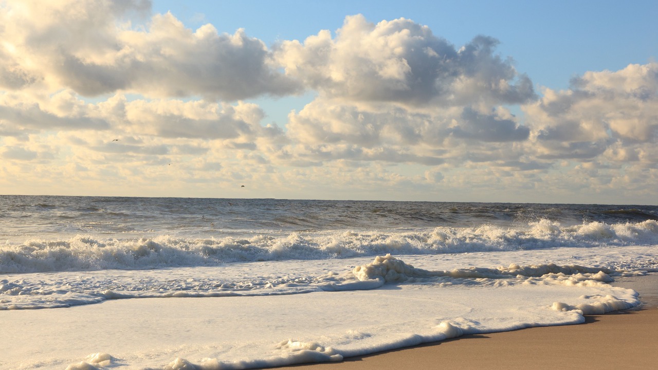 Photo of Others in Point Pleasant Beach