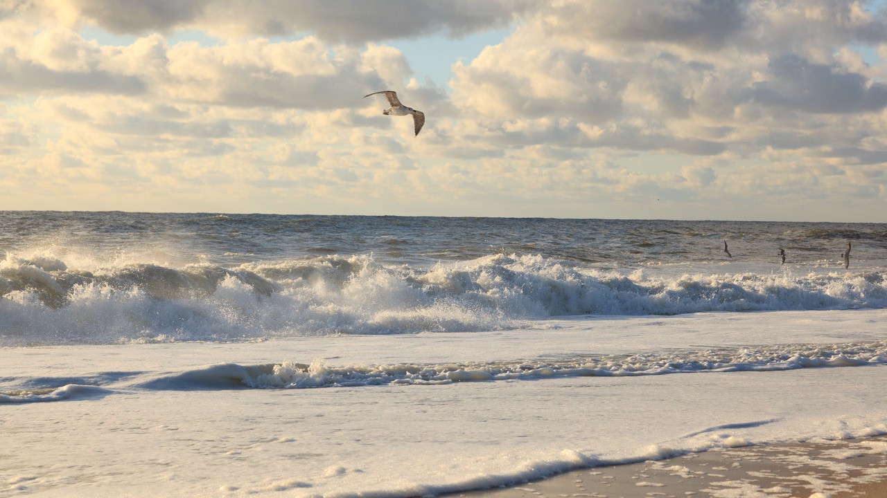 Photo of Others in Point Pleasant Beach