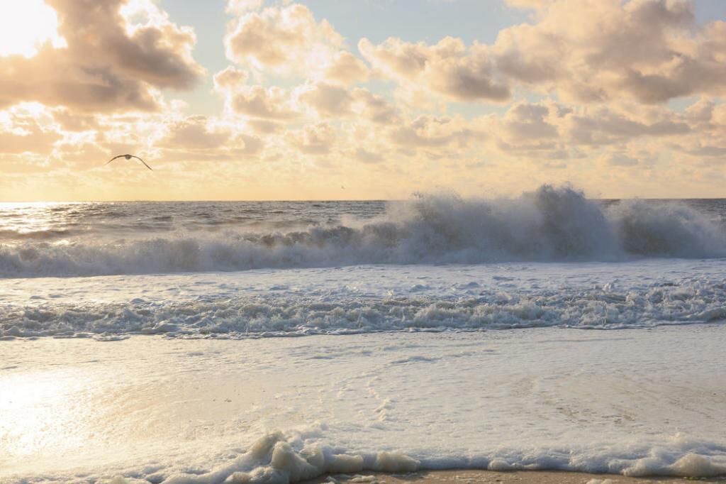 Photo of Others in Point Pleasant Beach