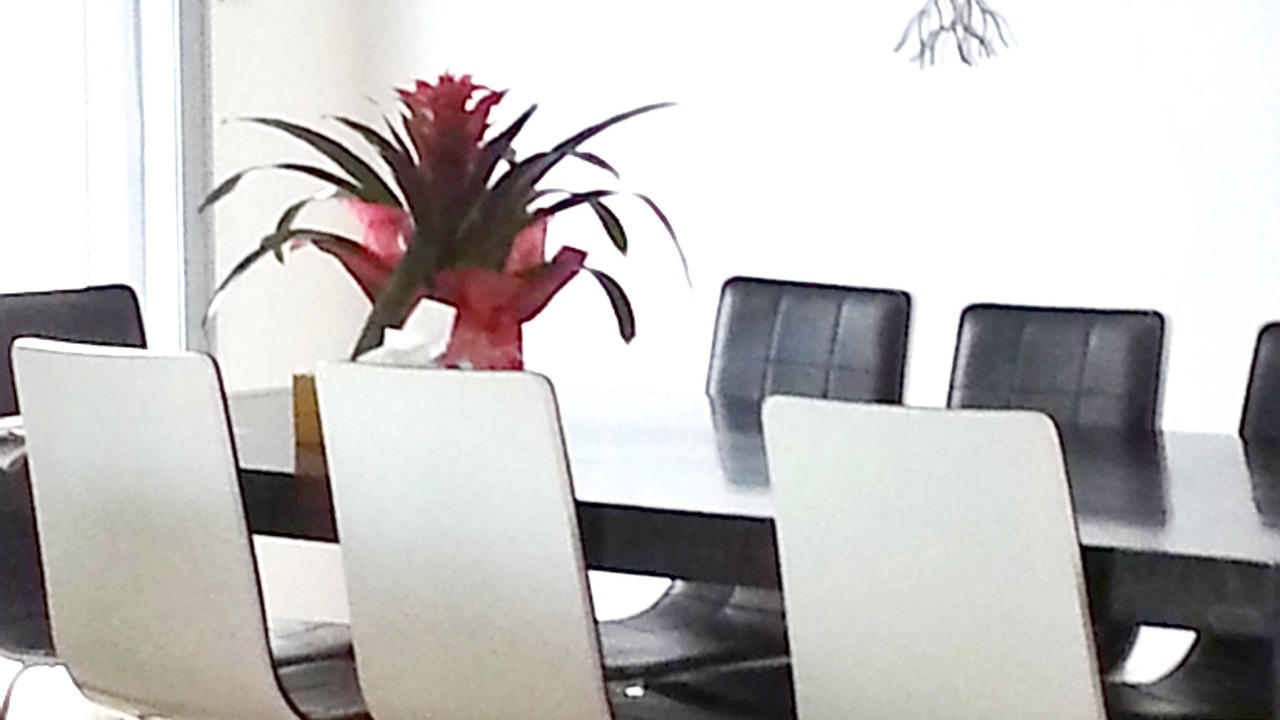 Photo of Others in Henderson