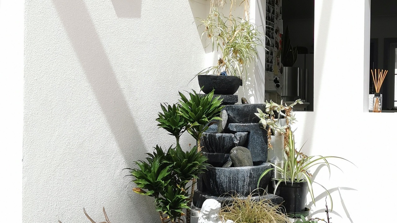 Photo of Outdoor in Henderson