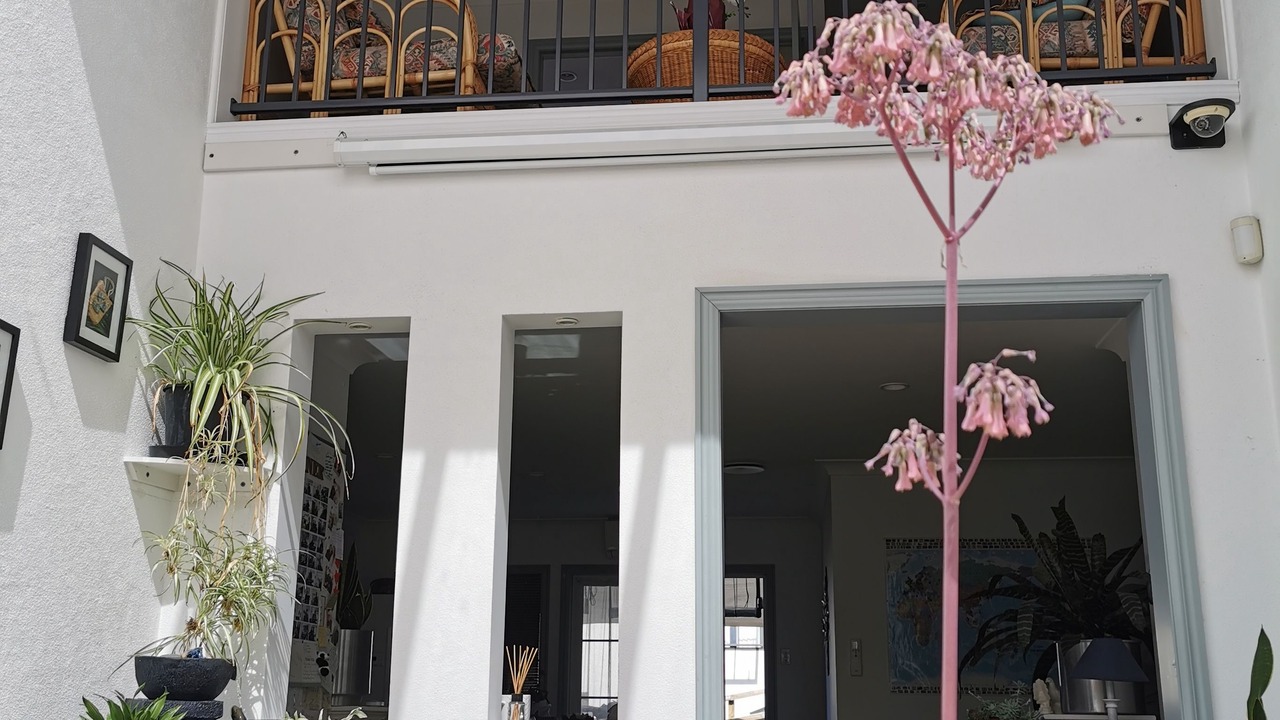 Photo of Others in Henderson