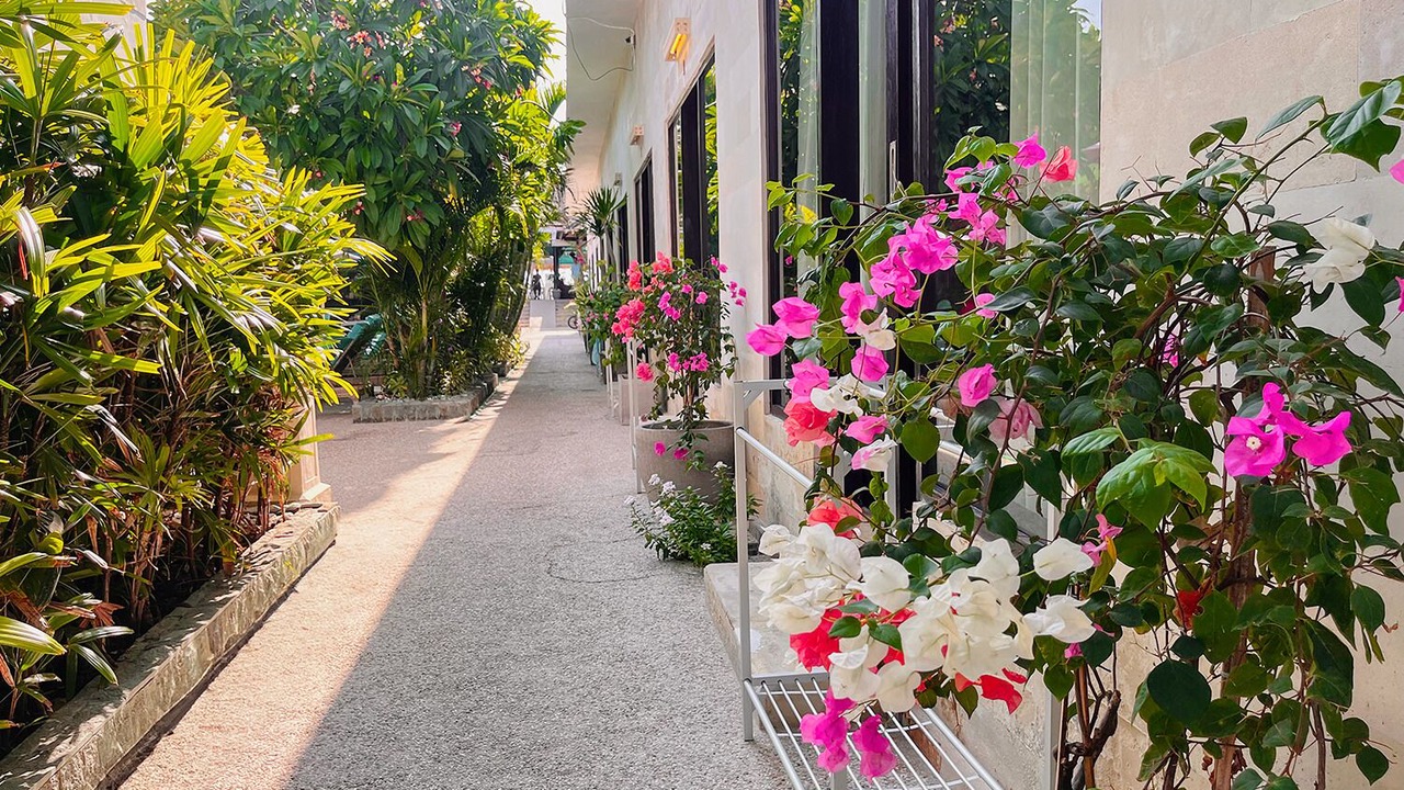Photo of Patio Balcony in Gili Meno