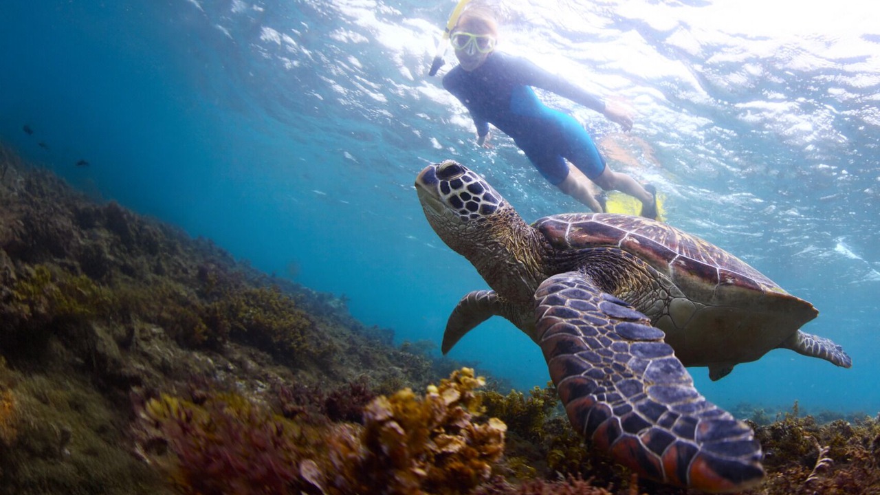 Photo of Others in Gili Meno