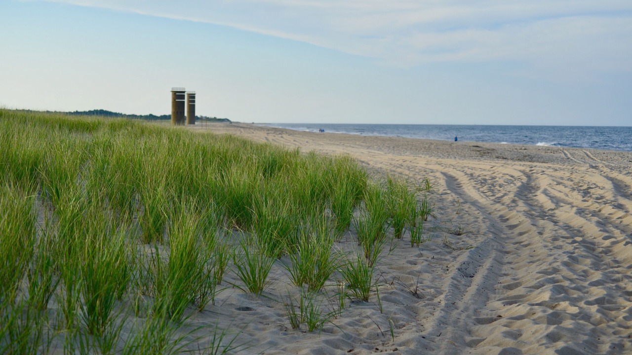 Photo of Others in Dewey Beach