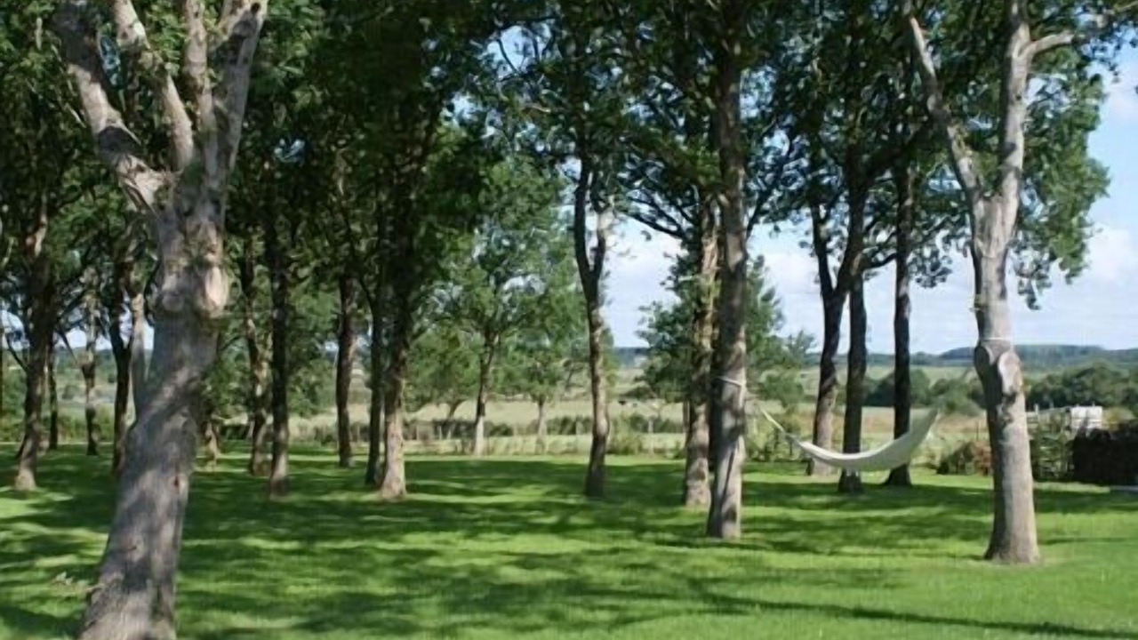 Photo of Outdoor in Saint-Molf