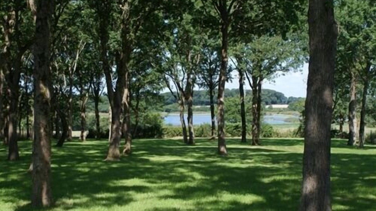 Photo of Outdoor in Saint-Molf