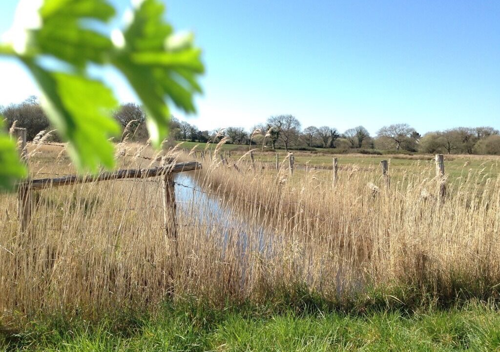 Photo of Outdoor in Saint-Molf