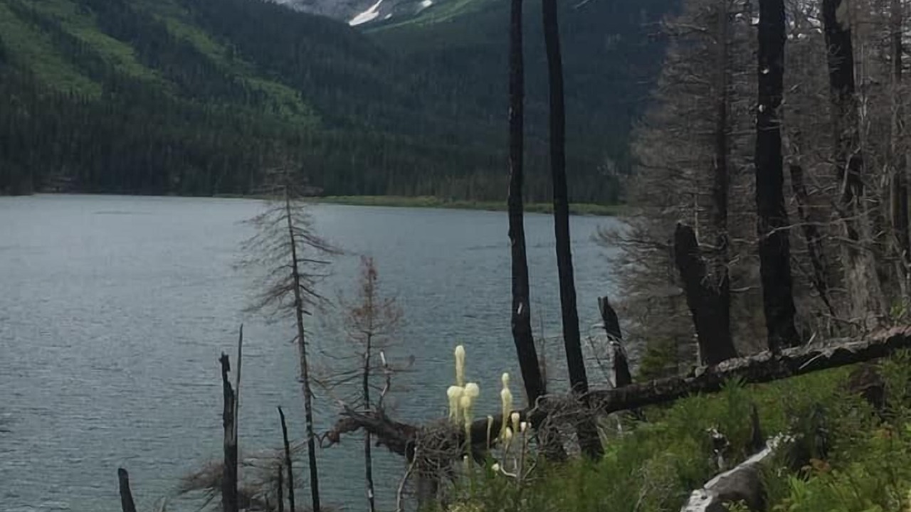 Photo of Outdoor in Coram