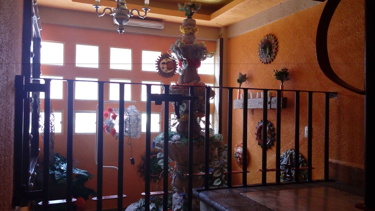 Photo of Others in Santa Ursula Coapa