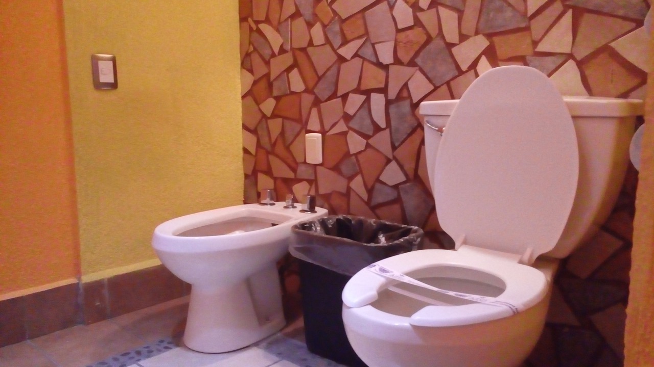 Photo of Bathroom in Santa Ursula Coapa
