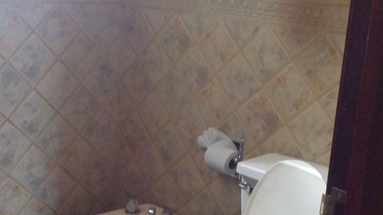 Photo of Bathroom in Santa Ursula Coapa