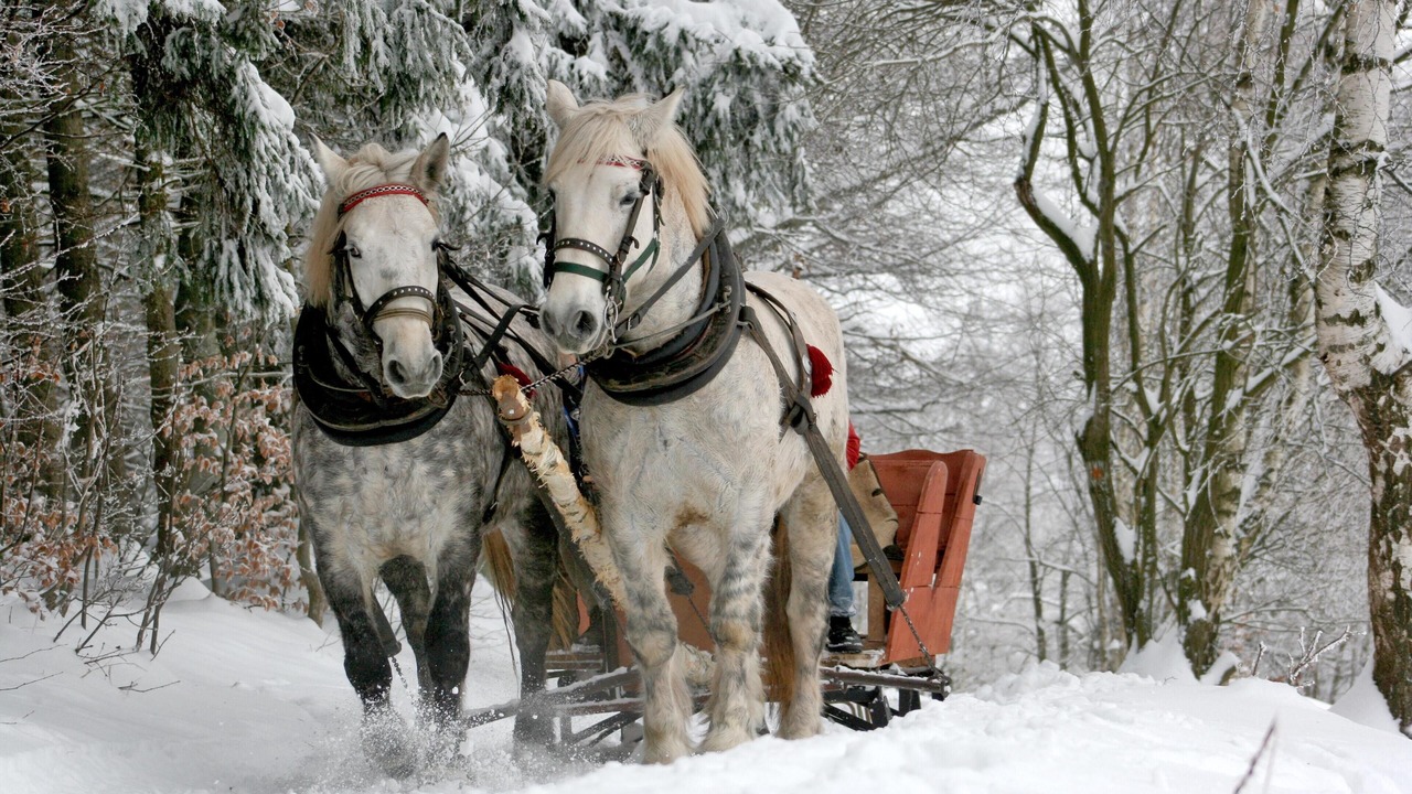 Photo of Others in Somers
