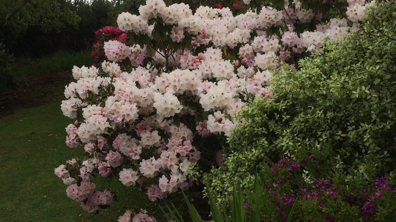 Photo of Outdoor in Waitomo Caves