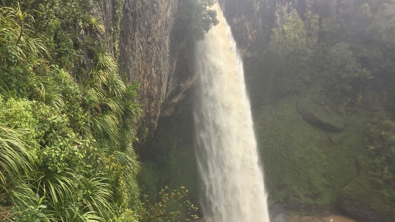 Photo of Outdoor in Waitomo Caves
