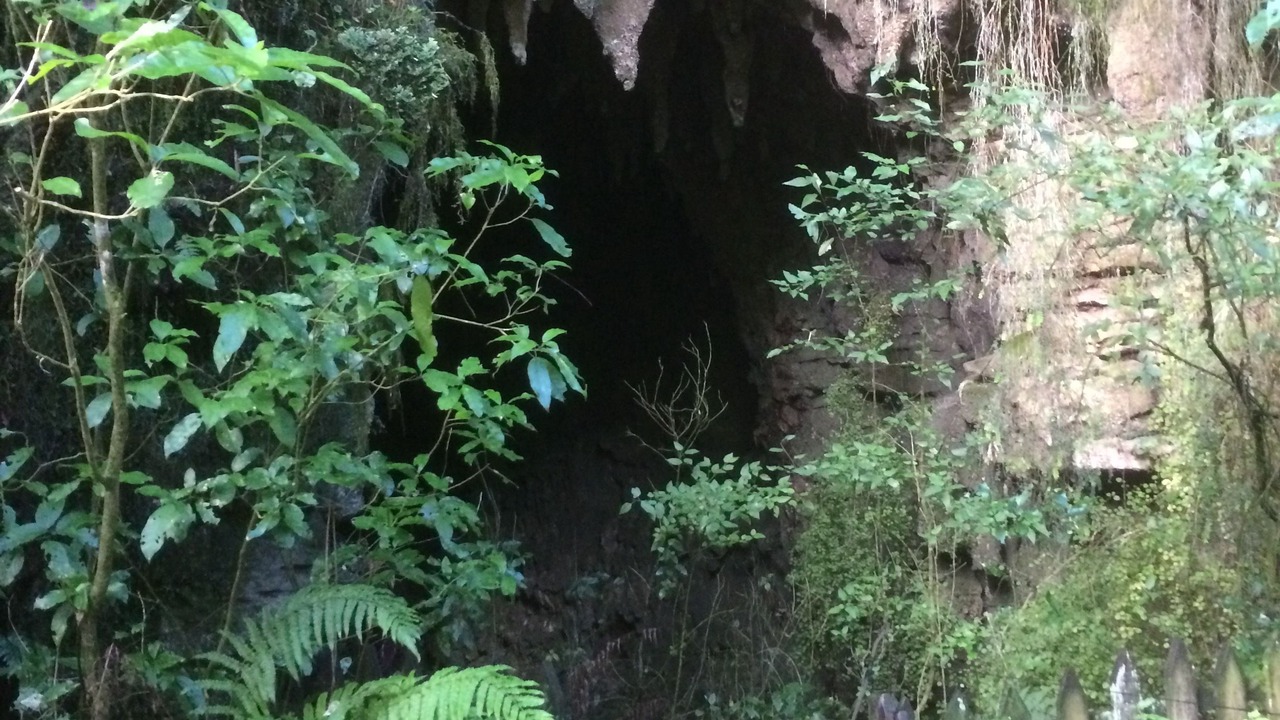 Photo of Others in Waitomo Caves
