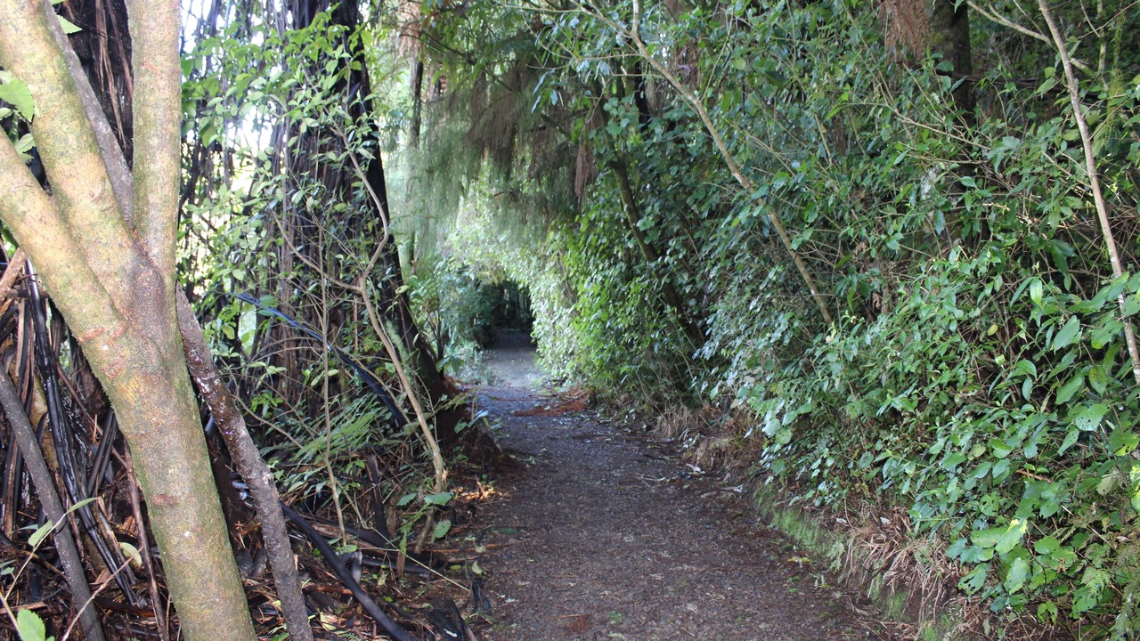 Photo of Outdoor in Waitomo Caves