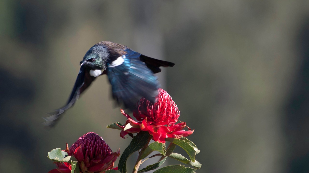 Photo of Outdoor in Waitomo Caves
