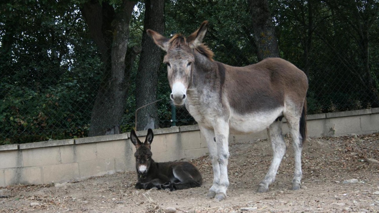 Photo of Outdoor in Hueto Arriba
