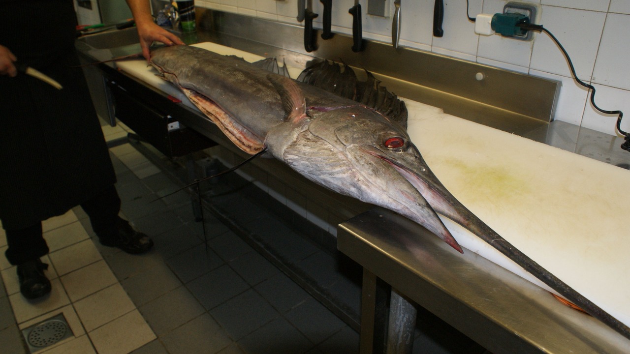 Photo of Others in Marigny-Saint-Marcel