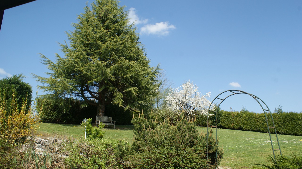 Photo of Others in Marigny-Saint-Marcel