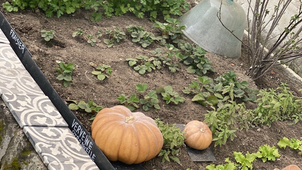 Photo of Outdoor in Montsoreau