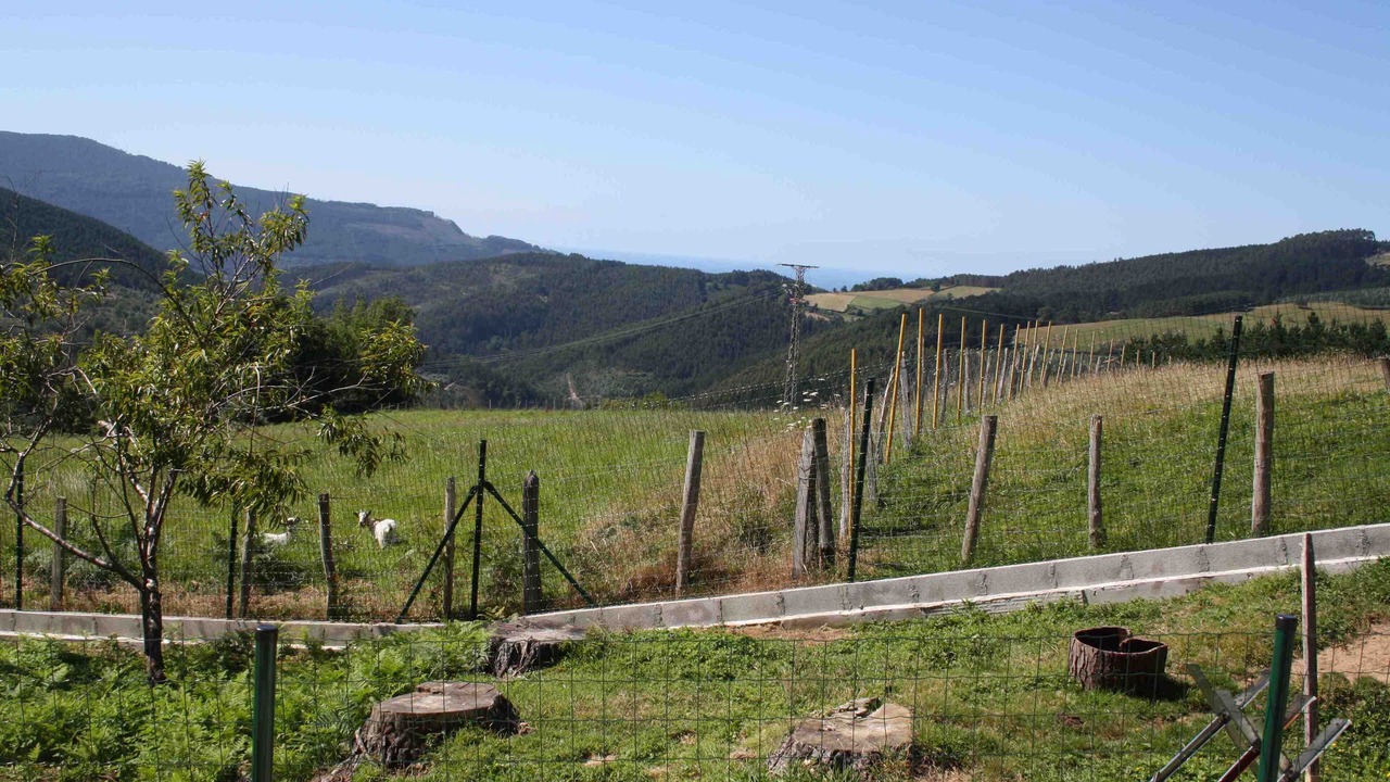 Photo of Outdoor in Bermeo