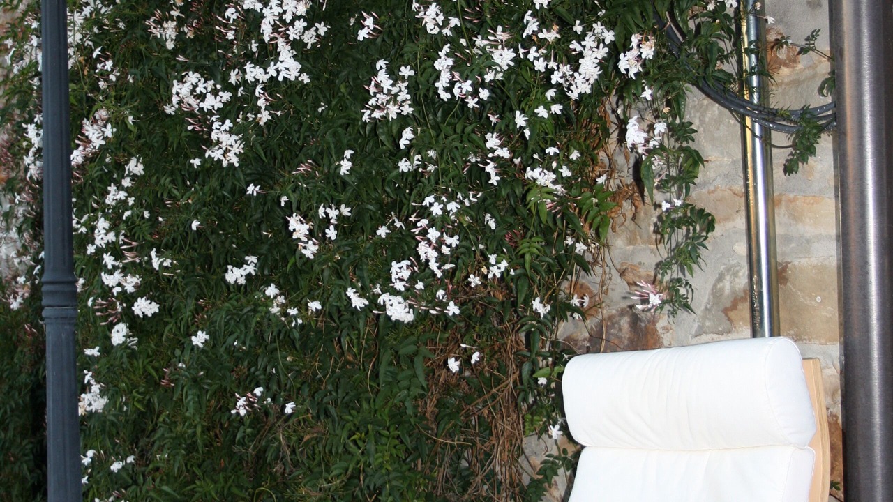 Photo of Outdoor in Bermeo