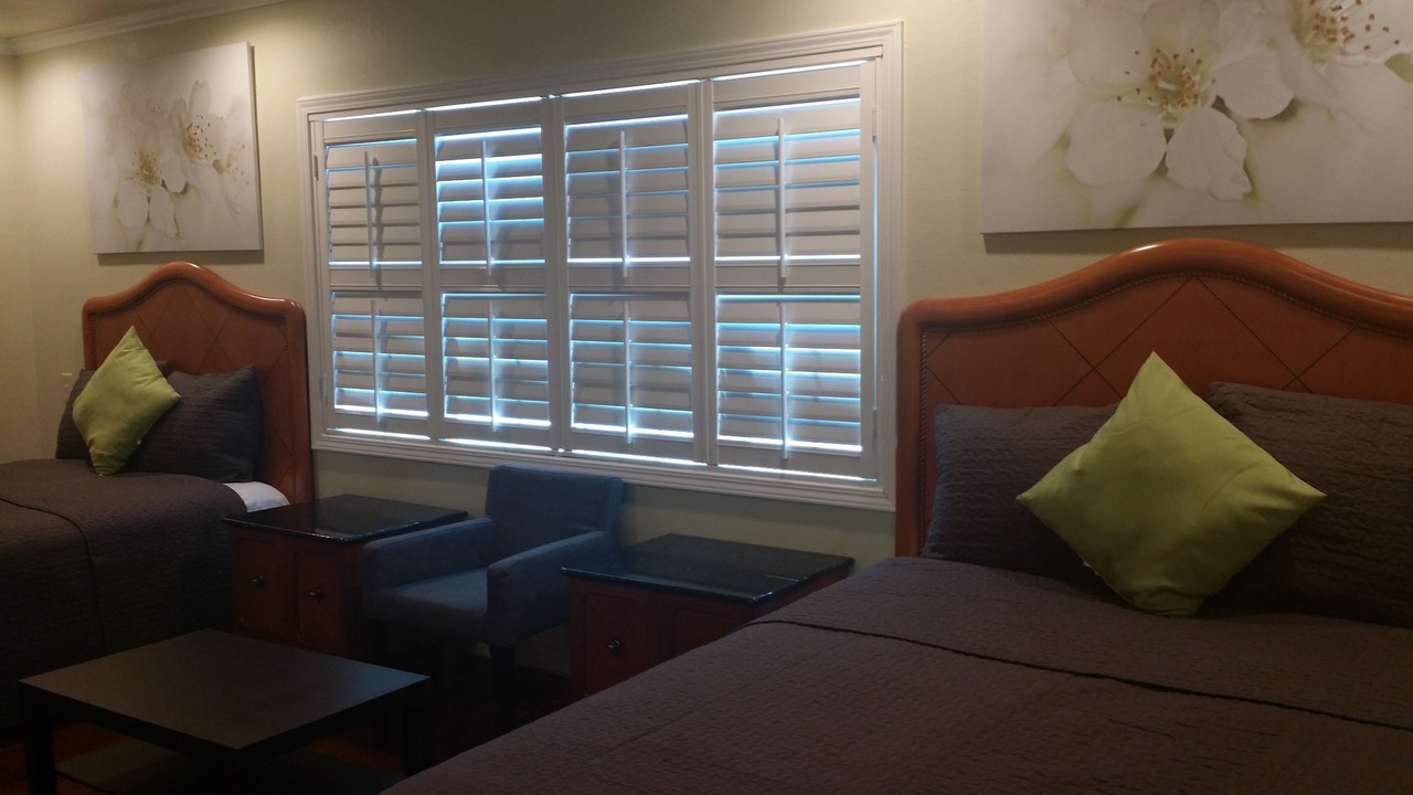 Photo of Others in Mosswood