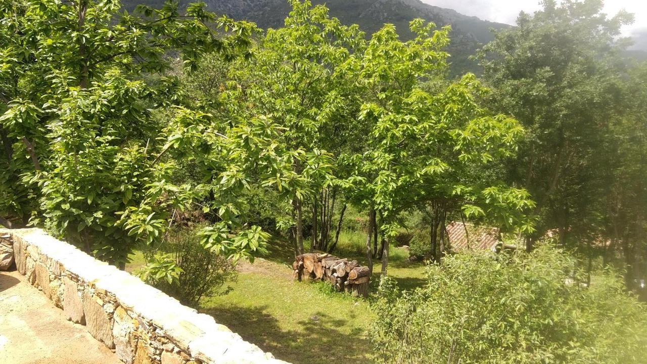 Photo of Outdoor in Riventosa