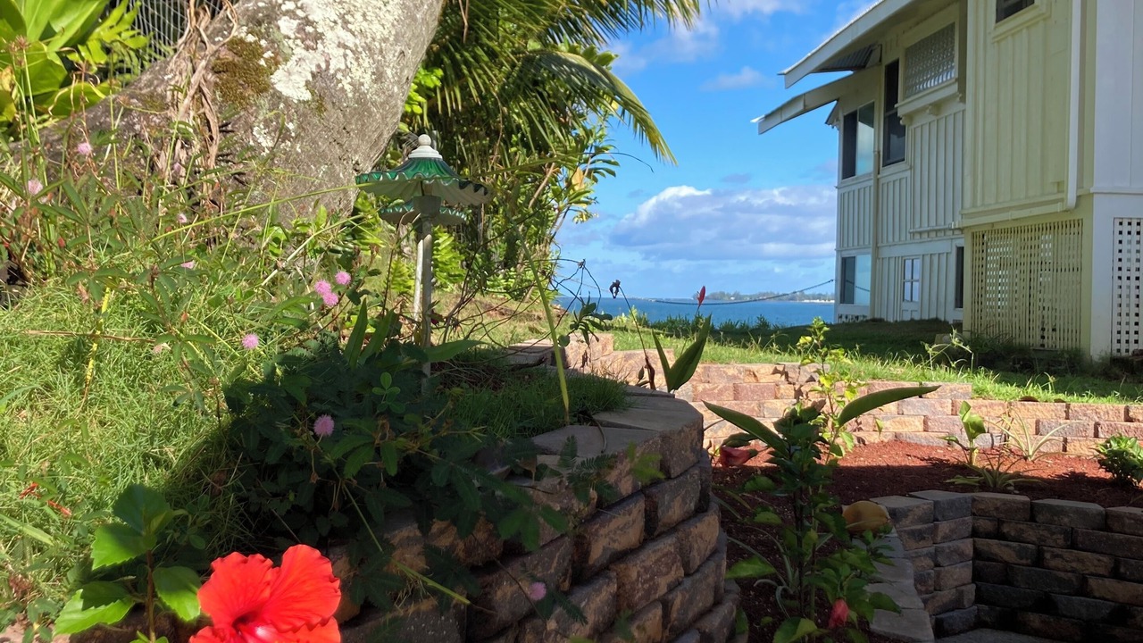 Photo of Outdoor in Hilo