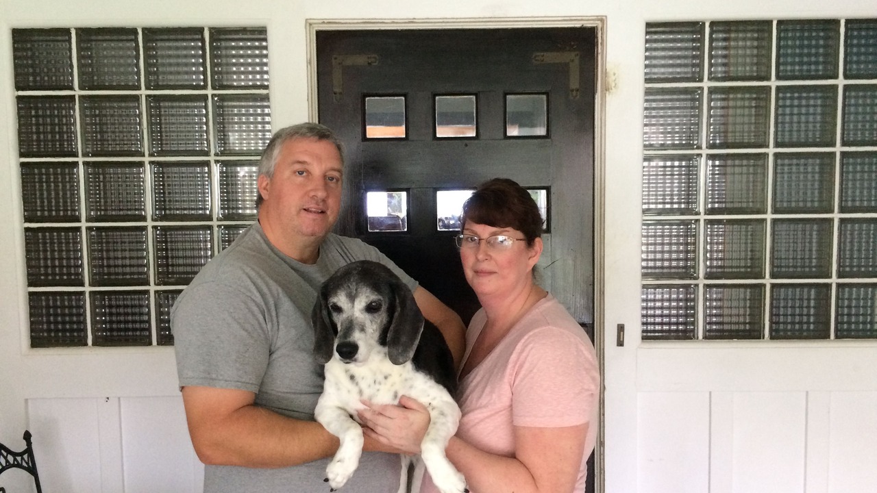 Photo of Outdoor in Hilo