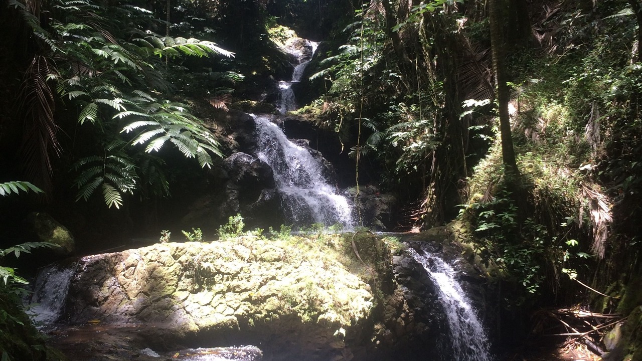 Photo of Outdoor in Hilo