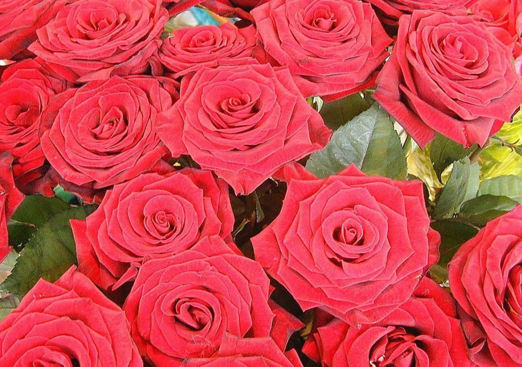 Photo of Others in Ilmington